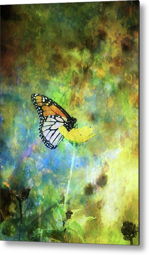 Monarch Metal Print featuring the photograph Monarch In Azure And Gold 5647 IDP_2 by Steven Ward