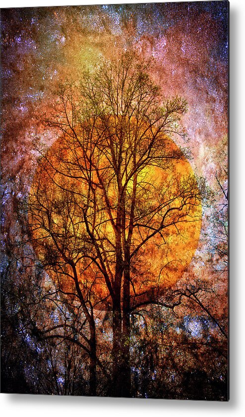Appalachia Metal Print featuring the photograph Moon Glow on a Starry Night by Debra and Dave Vanderlaan