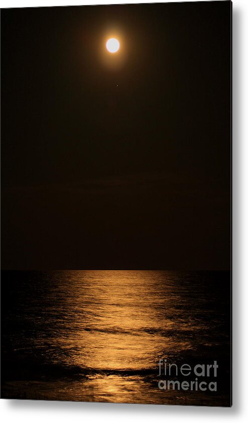 Moonrise Metal Print featuring the photograph Moonrise by Pat Moore