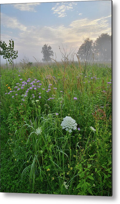 Black Eyed Susan Metal Print featuring the photograph Morning Fog over Glacial Park Prairie by Ray Mathis