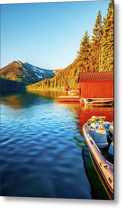 Alpine Metal Print featuring the photograph Morning Light by Maria Coulson