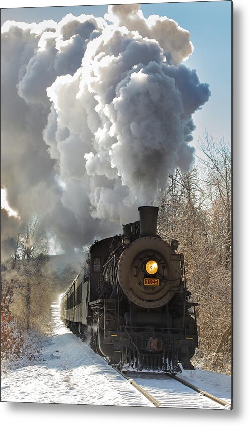 Snow Metal Print featuring the photograph Morning Run by Jonathan Steele