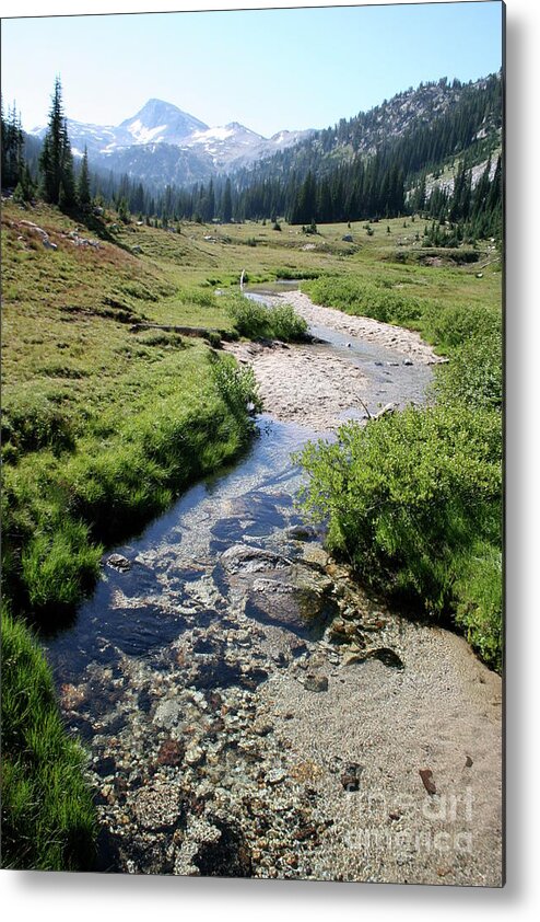 Wilderness Metal Print featuring the photograph Mountain Meadow and Stream by Quin Sweetman