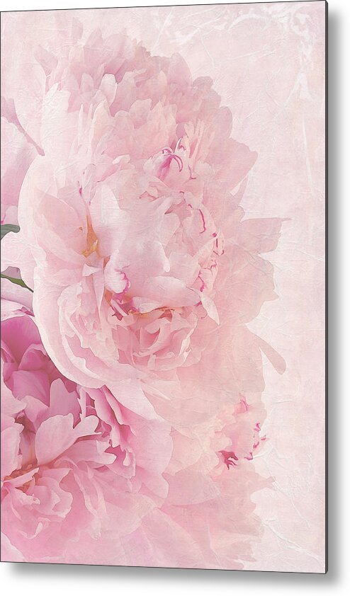 Paeonia Metal Print featuring the photograph Artsy Pink Peonies by Sandra Foster