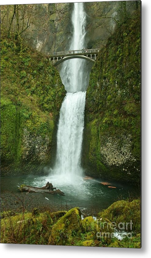 Landscape Metal Print featuring the photograph Multnomah falls by Sheila Ping