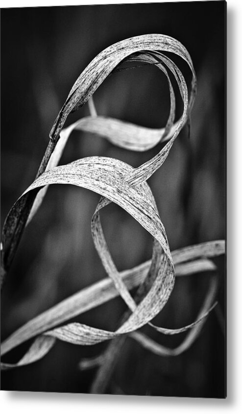 Abstract Metal Print featuring the photograph Natures Knot by Monte Stevens