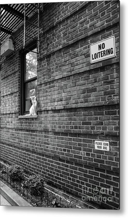 2016 Metal Print featuring the photograph No Loitering by Cole Thompson