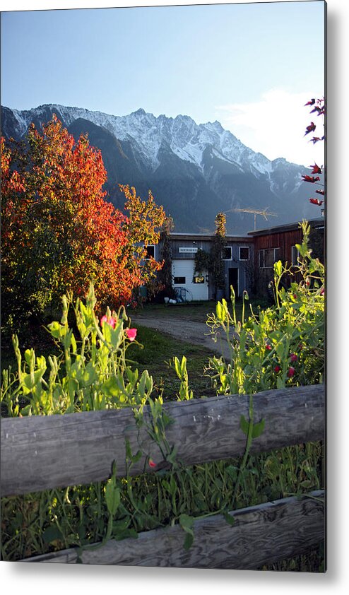 North Arm Farm Metal Print featuring the photograph North Arm Farm in autumn by Pierre Leclerc Photography