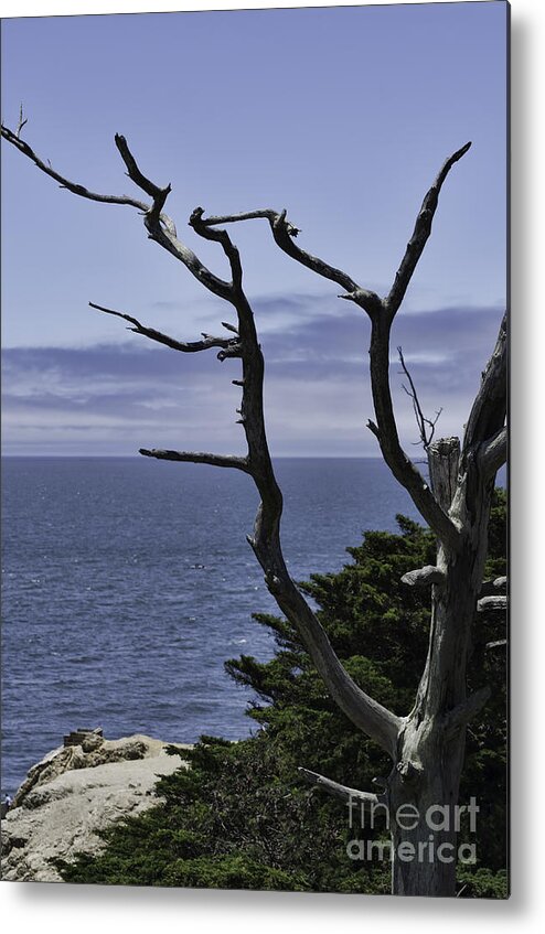 Cliff Metal Print featuring the photograph Off Shore by Judy Wolinsky