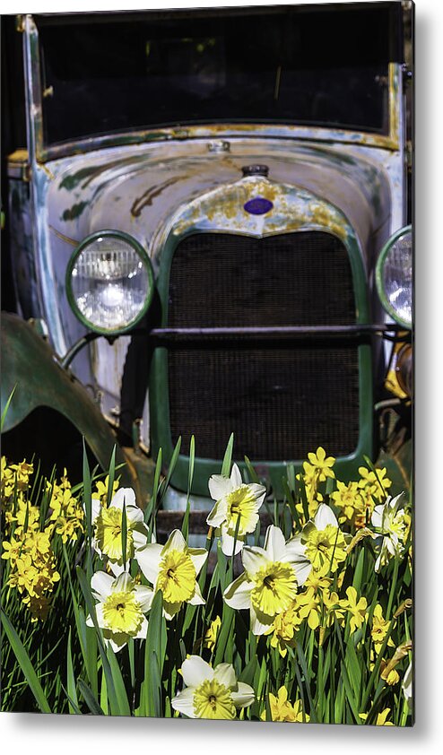 Old Metal Print featuring the photograph Old Car And Daffodils by Garry Gay