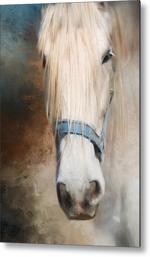 Horse Metal Print featuring the photograph Old Grey by Robin-Lee Vieira