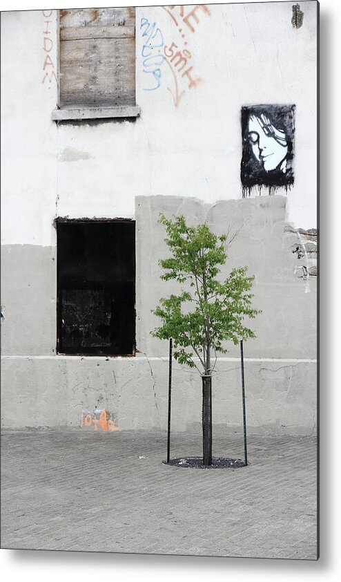 Decay Metal Print featuring the photograph On The Contemplation Of Tree by Kreddible Trout