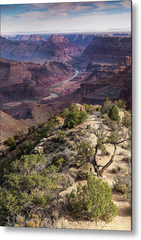 Landscape Metal Print featuring the photograph Looking Out The Front Door by Jay Beckman