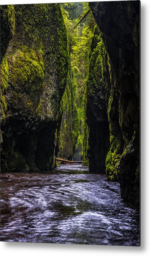 Oneonta Gorge Metal Print featuring the photograph Oneonta Gorge by Chuck Jason