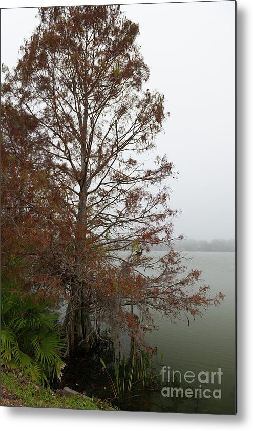 Lake Highland Metal Print featuring the photograph Fog over Lake Highland by Dale Powell
