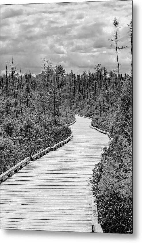 Orono Metal Print featuring the photograph Orono Bog Walk by Holly Ross