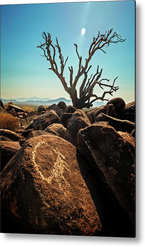 American Southwest Metal Print featuring the photograph Pack Mule Petroglyph by James Capo