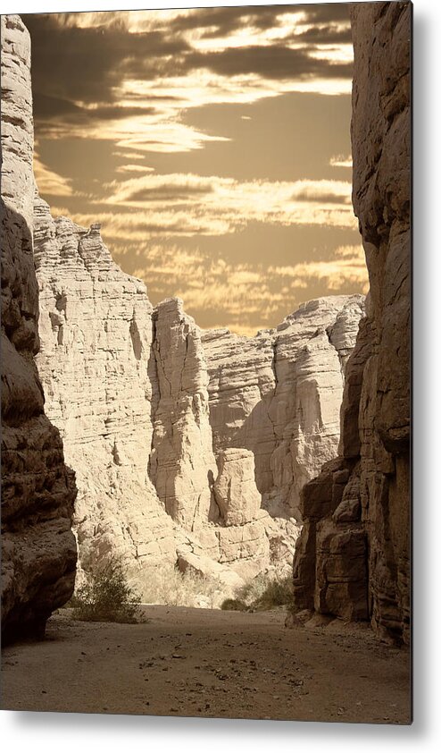 Painted Canyon Trail Metal Print featuring the photograph Painted Canyon Trail by Linda Dunn