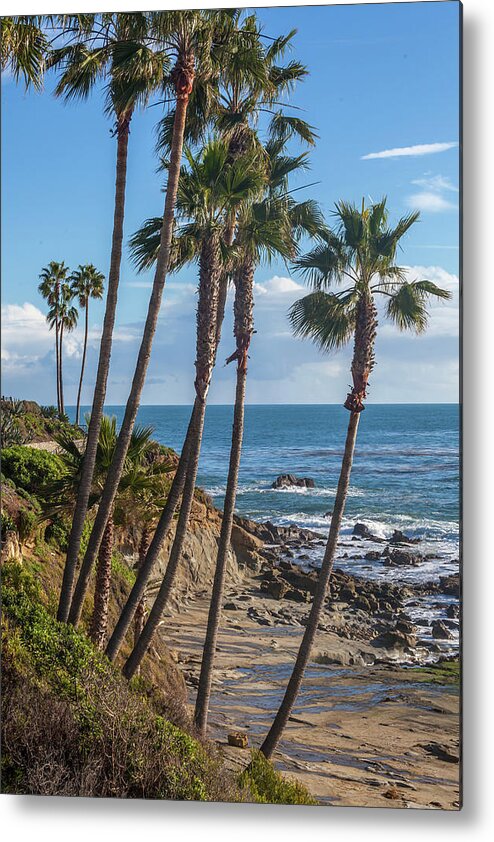 Laguna Beach Metal Print featuring the photograph Palm Trees at Monument Point Laguna Beach by Cliff Wassmann