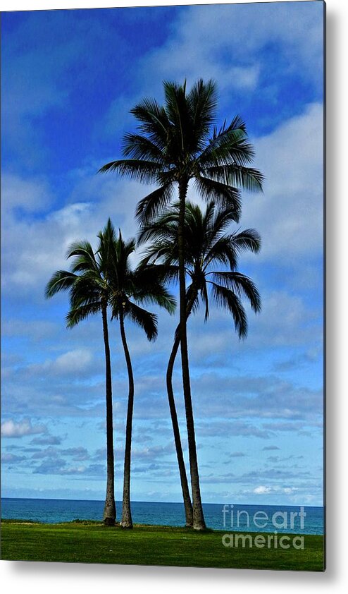 Palms Metal Print featuring the photograph Palms Centerfold by Craig Wood