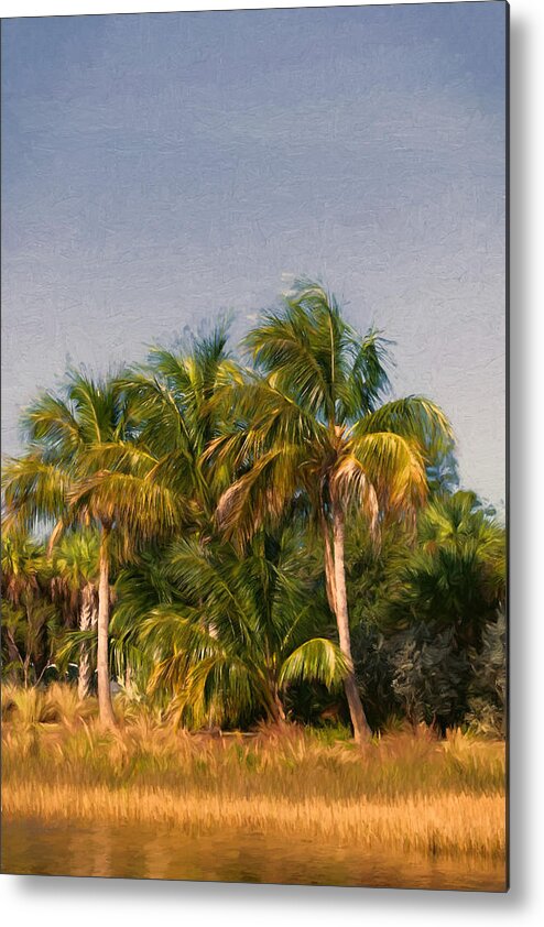 Palm Tree Metal Print featuring the photograph Palms - Naples Florida by Kim Hojnacki