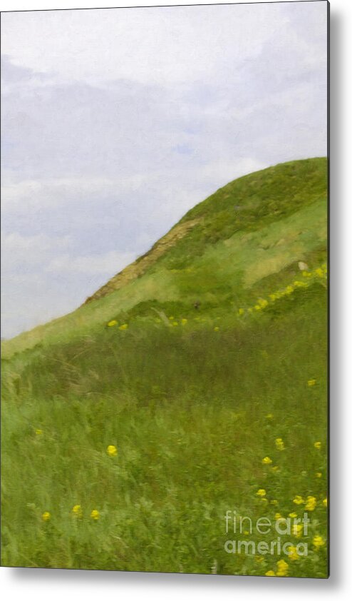 Portrait Metal Print featuring the photograph Panorama Hills Bluffs by Donna L Munro
