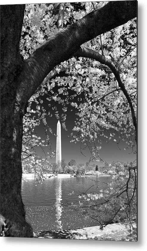 Washington Monument Metal Print featuring the photograph Peace and Harmony by Mitch Cat