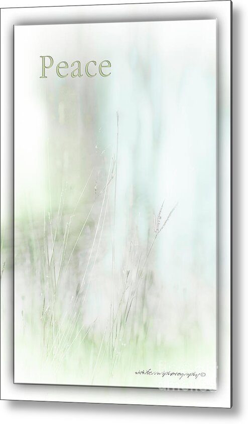 Peace Metal Print featuring the photograph Peace by the Water by Vicki Ferrari