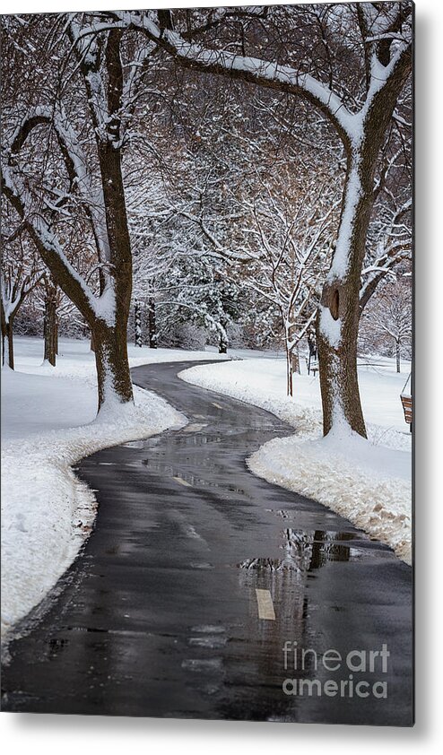 Snowy Path Metal Print featuring the photograph Peaceful Winter Path by Kari Yearous
