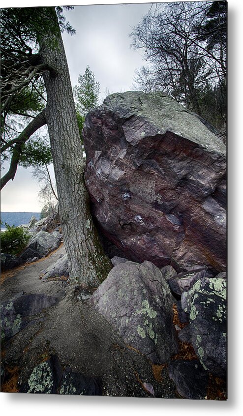 Wisconsin Metal Print featuring the photograph Perseverance by CA Johnson