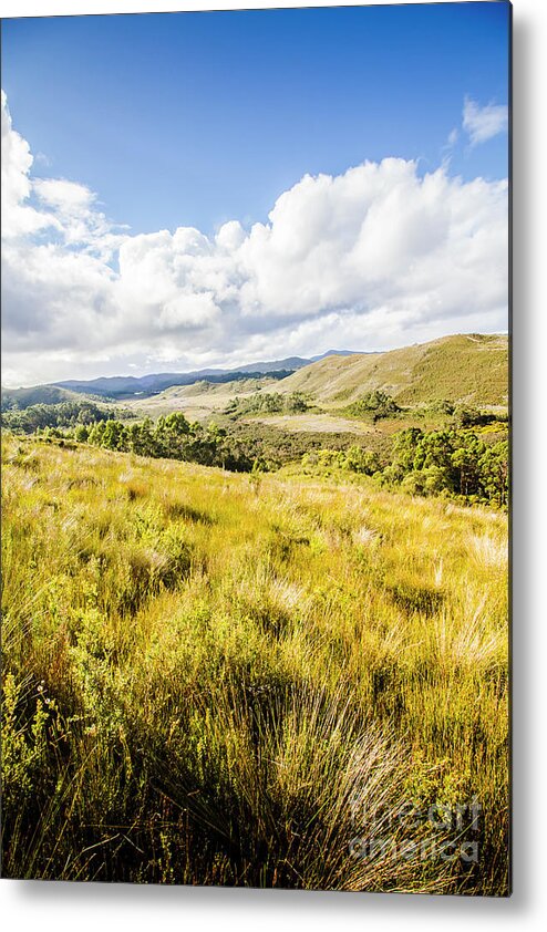 Zeehan Metal Print featuring the photograph Picturesque tasmanian field landscape by Jorgo Photography