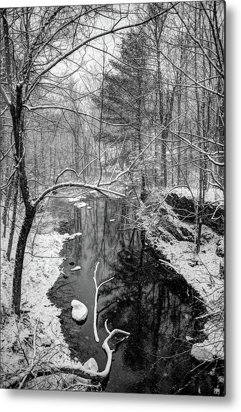 Snow Metal Print featuring the photograph Pine Reflection on the Sheepscot by John Meader