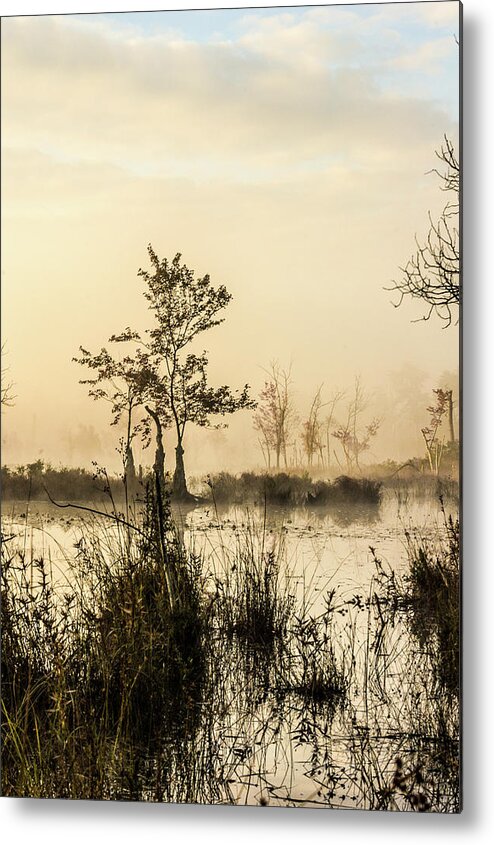 Landscape Metal Print featuring the photograph Pinelands - Mullica River by Louis Dallara
