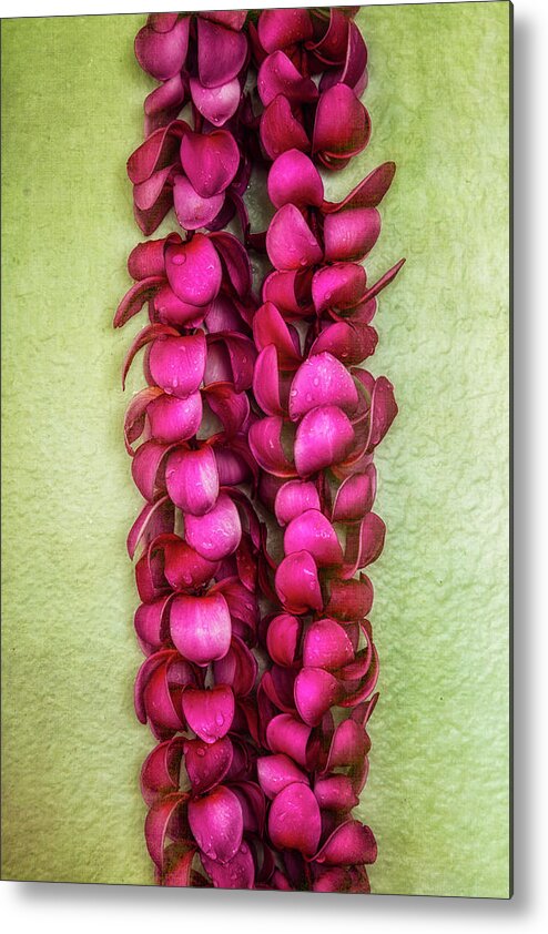 Floral Metal Print featuring the photograph Pink Plumeria Lei by Jade Moon