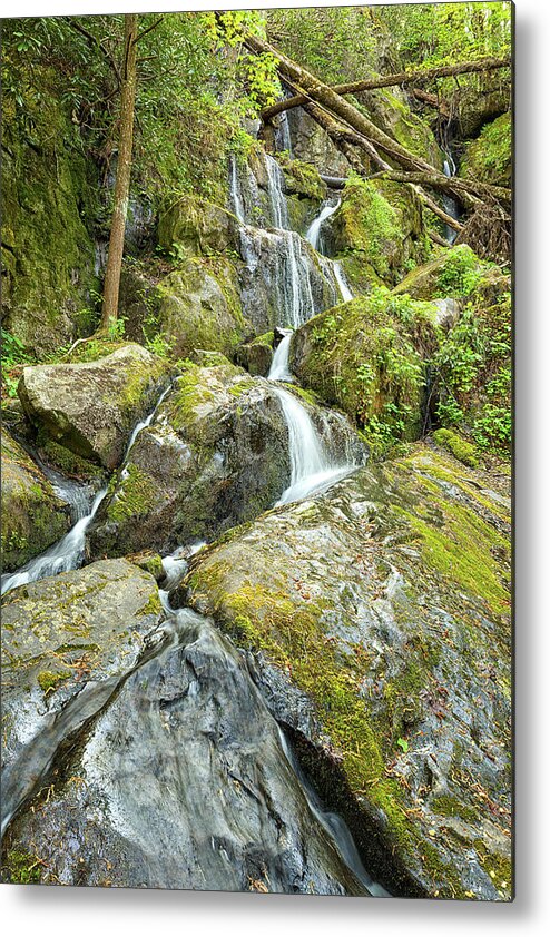 Cherokee Orchard Road Metal Print featuring the photograph Place of a Thousand Drips by Victor Culpepper