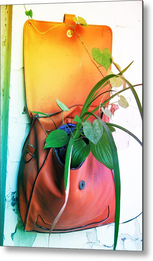 Plant Metal Print featuring the photograph Planting of greenery by Lali Kacharava