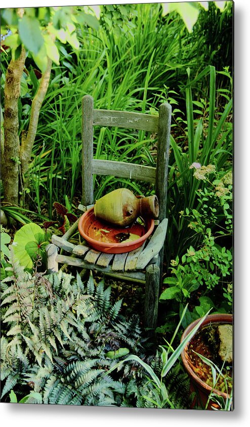 Plants Metal Print featuring the photograph Plants and Simple Things by Allen Nice-Webb