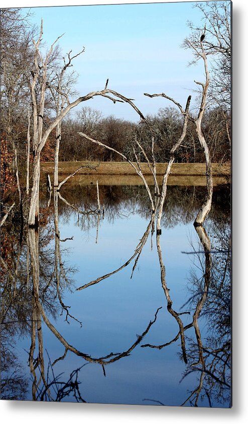 Nature Metal Print featuring the photograph Pond Reflection by Sheila Brown