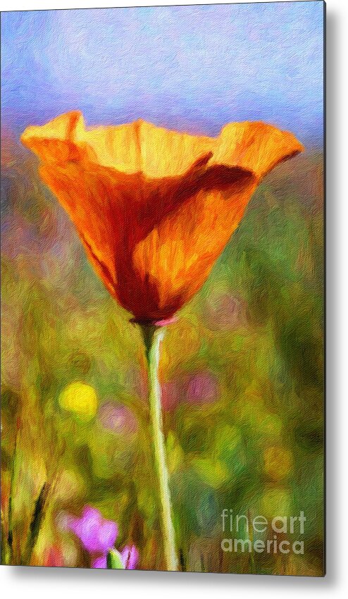 California Poppy Metal Print featuring the photograph Poppy Delight by Pam Vick
