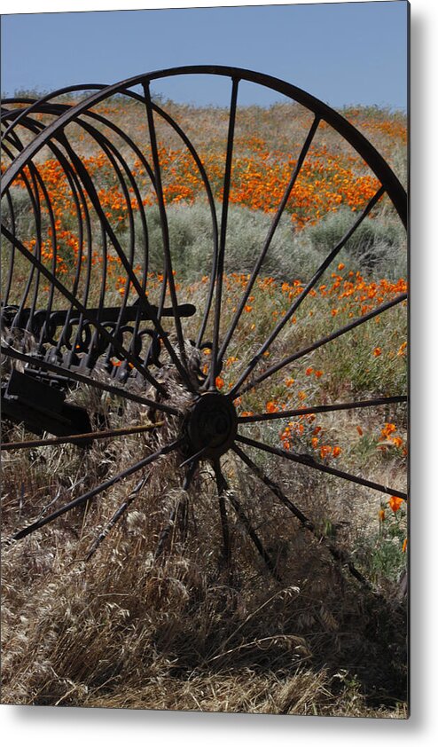 Landscape Metal Print featuring the photograph Poppy Farm by Ivete Basso Photography