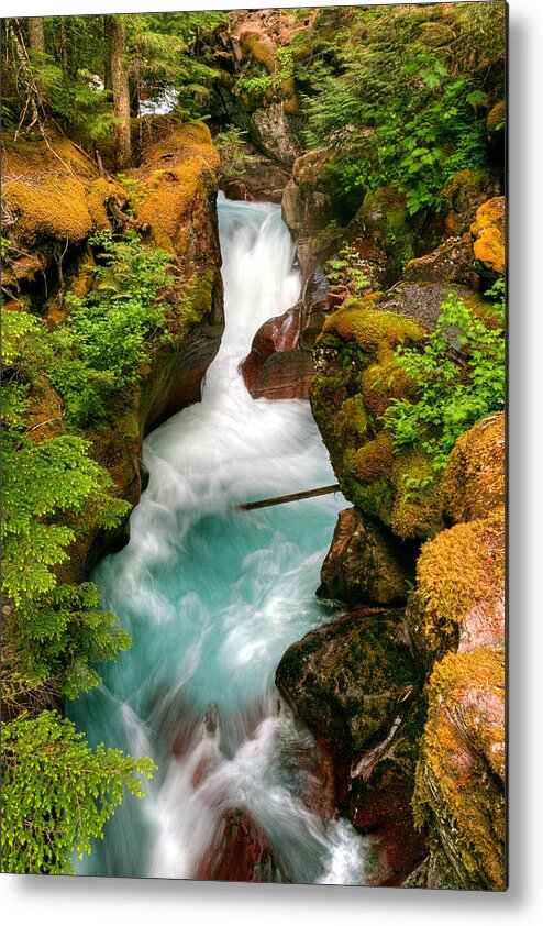 Aqua; Avalanche Creek; Creek; Fall; Glacial Runoff; Glacier; Glacier National Park; Glacier Water; Montana; Rockies; Rocky Mountains; Slot Canyon; Stream; Torrent; Waterfall; Metal Print featuring the photograph Power and Beauty by David Andersen