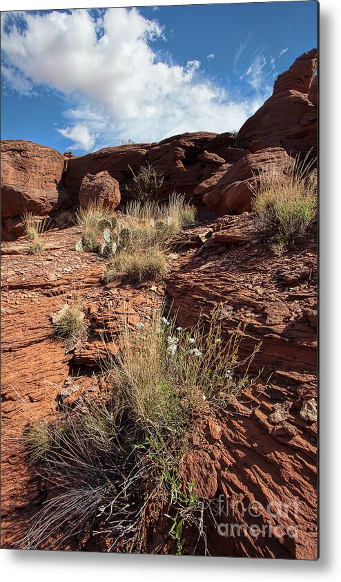 Utah Landscape Metal Print featuring the photograph Prickly Pear Slope by Jim Garrison
