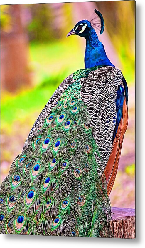 Bird Metal Print featuring the photograph Proudly spotted by Tatiana Travelways