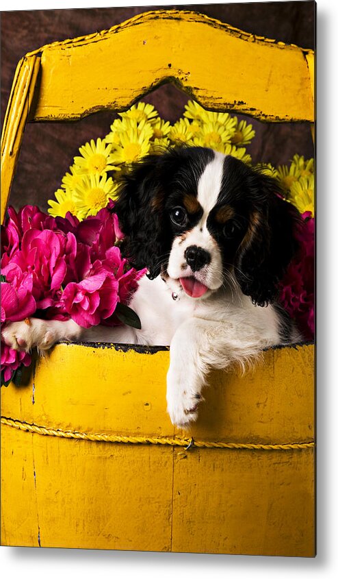 Puppy Dog Cute Doggy Domestic Pup Pet Pedigree Canine Creature Soccer Ball Metal Print featuring the photograph Puppy in yellow bucket by Garry Gay
