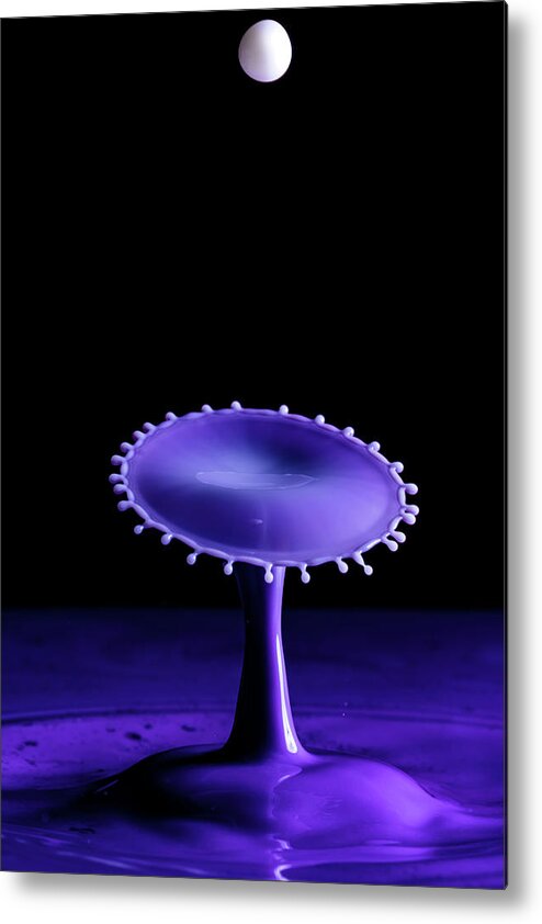 Wall Art Metal Print featuring the photograph Purple Drop by Marlo Horne