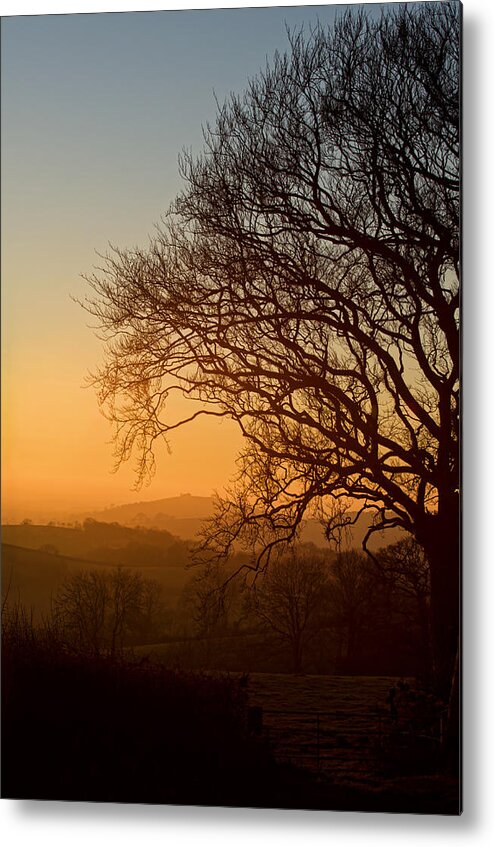 Raddon Metal Print featuring the photograph Raddon Hill at sunset by Pete Hemington