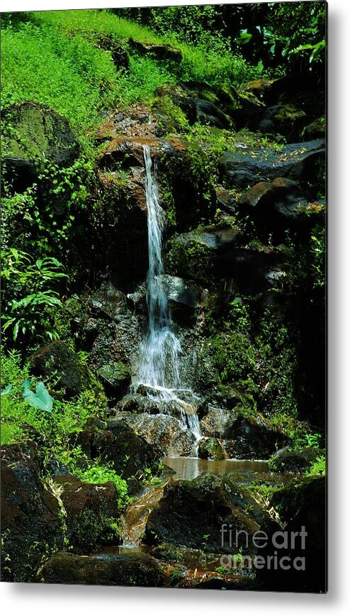 Waterfall Metal Print featuring the photograph Rainy Day Runoff Nuuanu by Craig Wood