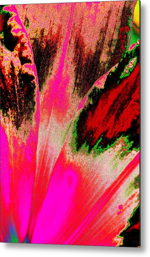 Abstract Metal Print featuring the photograph Rare Daylily by Dick Pratt