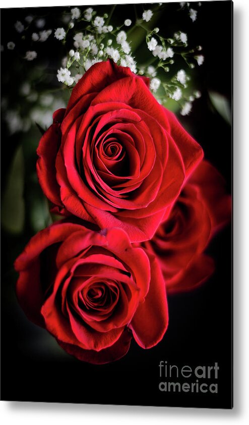 Cheryl Baxter Photography Metal Print featuring the photograph Red Roses by Cheryl Baxter