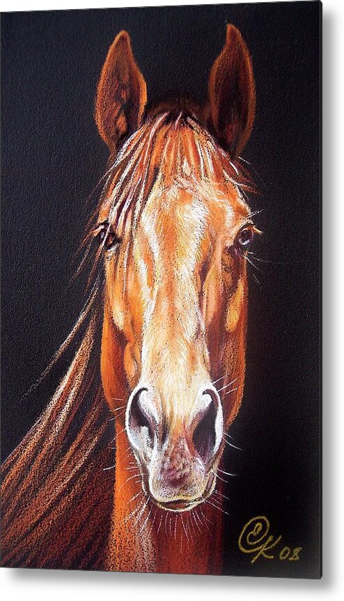 Horse Metal Print featuring the drawing Ready to run by Elena Kolotusha